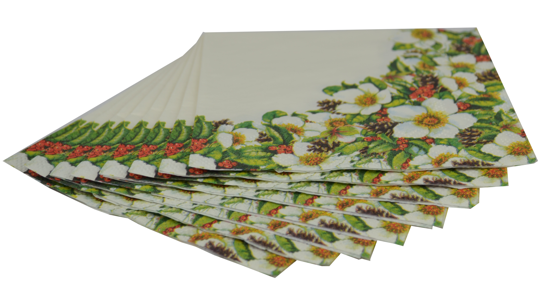 place-mats-serviette-14c593071ea9ccc0051bc552cbf13868